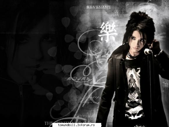 wallpapers - bia_th - Bill Kaulitz