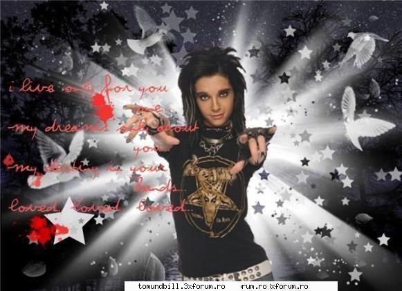 wallpapers - AnkuღBill - Bill Kaulitz